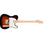 Fender American Professional Telecaster With Elite Molded Case