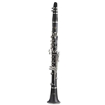 Yamaha YCL-450N Intermediate Clarinet with Case