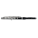 DiZhao DZP102 Composite Piccolo with Case