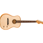 Fender Highway Series Dreadnought with  Deluxe Gigbag