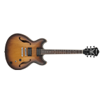 Ibanez AS53TF Hollow Body Electric Guitar