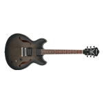 Ibanez AS73TKF Hollow Body Electric Guitar