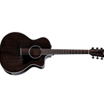 Taylor 214ce Special Edition Translucent Grey Top