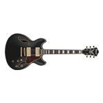 Ibanez AS73GBKF Hollow Body Electric Guitar
