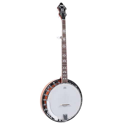 Fawley Music - Recording King RKR20 Songster Resonator Banjo