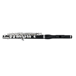 DiZhao DZP102 Composite Piccolo with Case