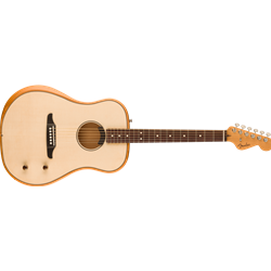 Fender Highway Series Dreadnought with  Deluxe Gigbag