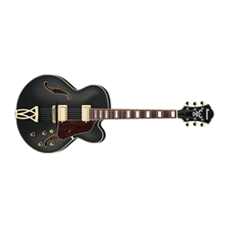 Ibanez AF75GBKF Hollow Body Electric Guitar