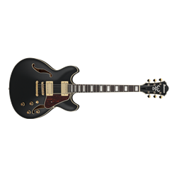 Ibanez AS73GBKF Hollow Body Electric Guitar